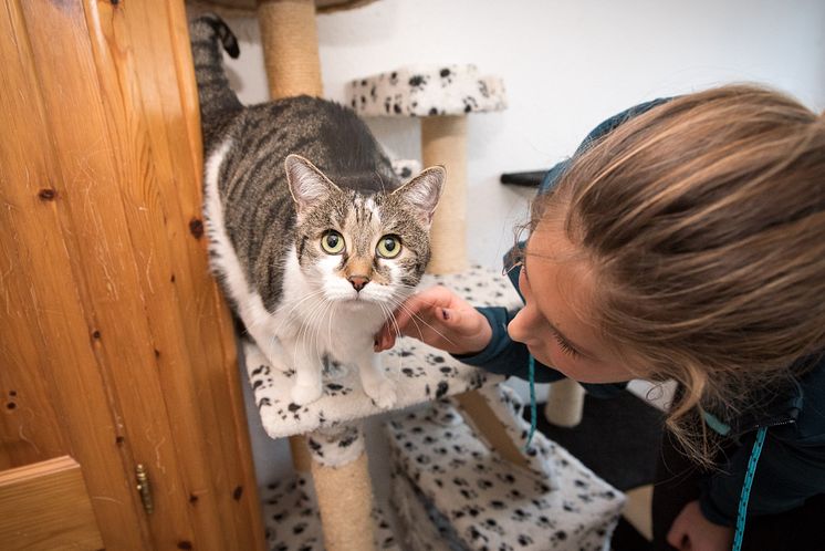 "tierisch engagiert"-Award: 5.000 € für die Katzenhilfe Karlsruhe