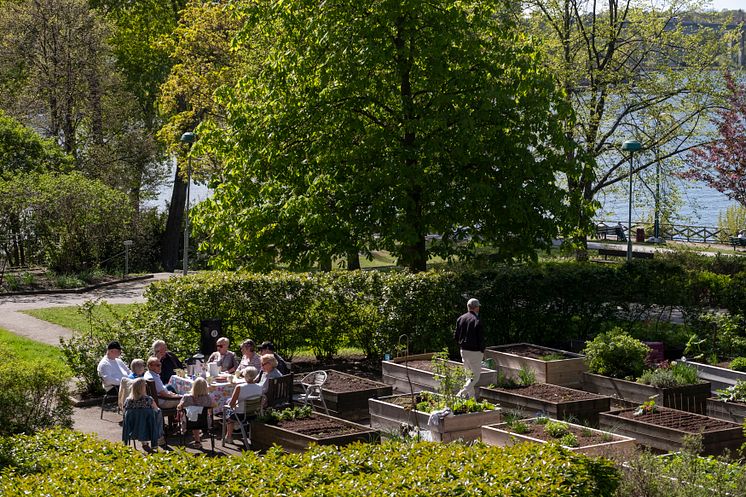 reimers_190517_gustavkaiser__DSF3031
