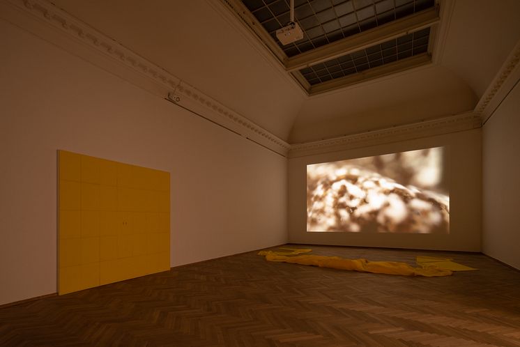 Lea Porsager, SENSITIVE WALL ()() & SENSITIVE WALL ()(), 2021. MIGHTY RUSHED EXPERIMENT, 2020. 