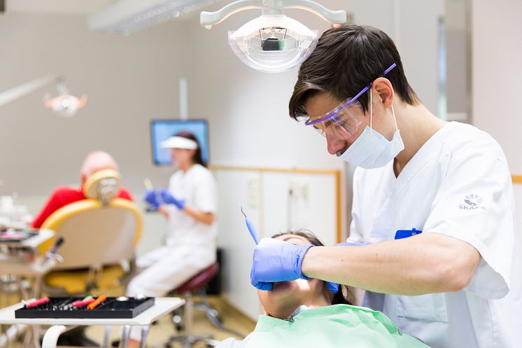 Tandhygienistprogrammet FRI ANVÄNDNING Foto: Högskolan Kristianstad