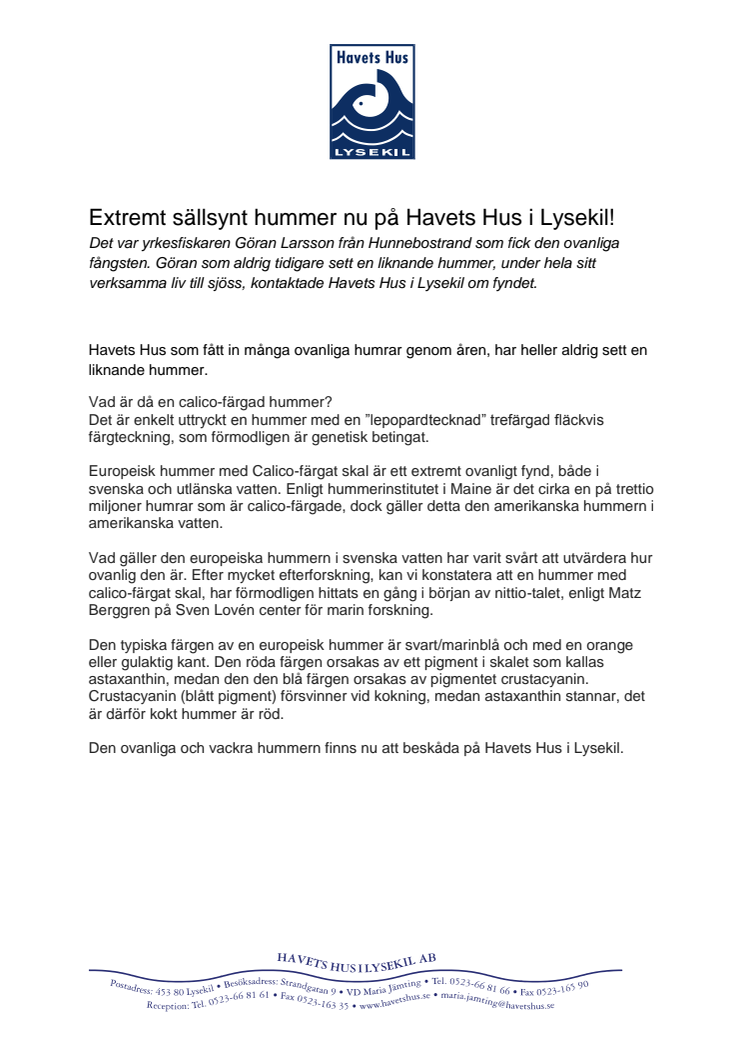 Extremt sällsynt hummer nu på Havets Hus i Lysekil!                  