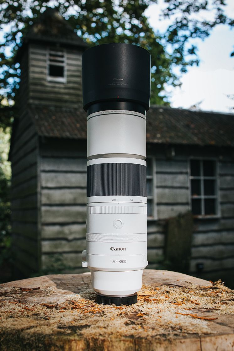 Canon_RF 200-800mm F6.3-9 IS USM_Ambient-Get-Inspired-66