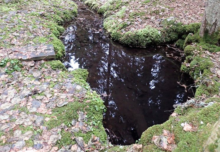 Ny HaV-rapport: Flera av Sveriges naturliga grundvattenkällor skadade