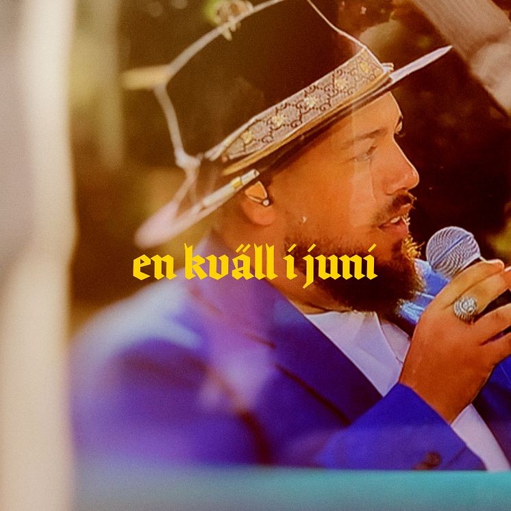 En Kväll I Juni - Anis Don Demina 