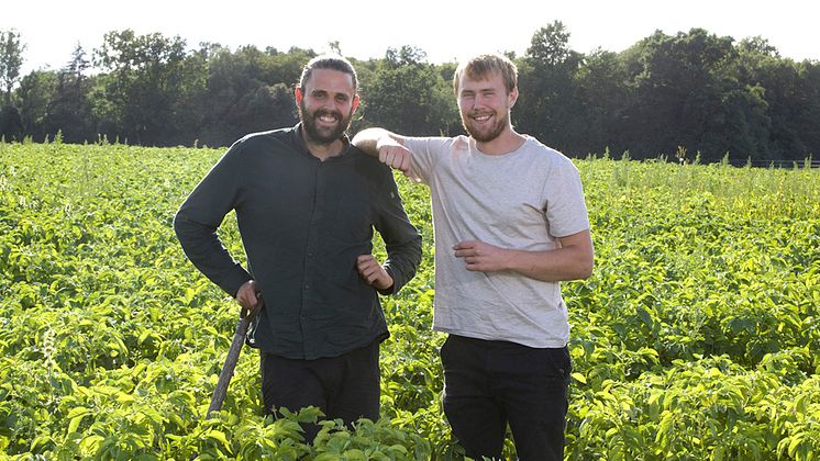 Green Friesmärker med Från Sverige