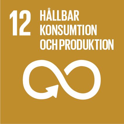 12 hållbar konsumtion och produktion