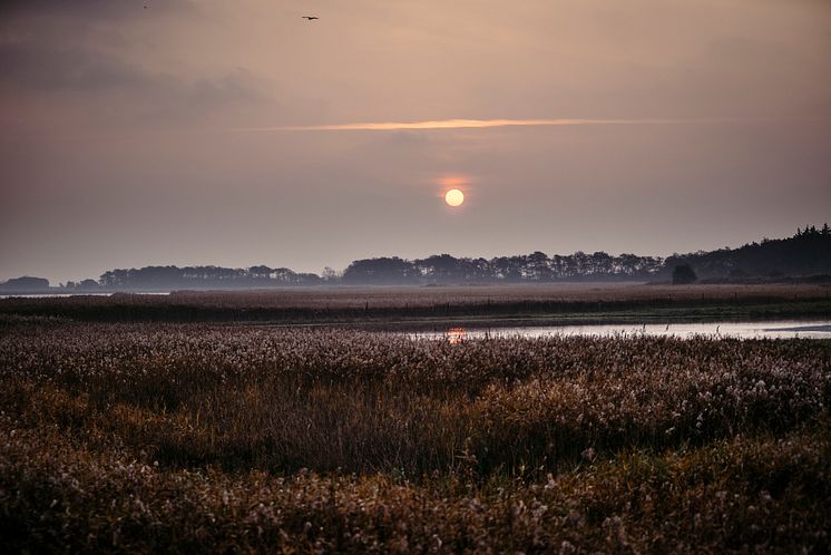 Burgtiefe im Herbst