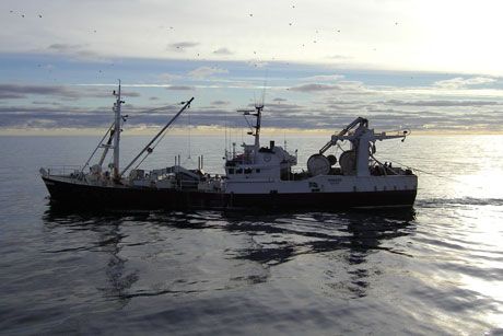 Färre yrkesfiskare – trenden håller i sig