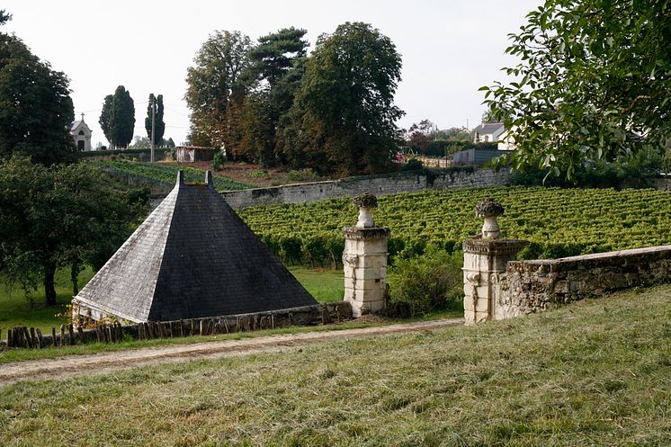 Vingården hos Langlois-Chateau 