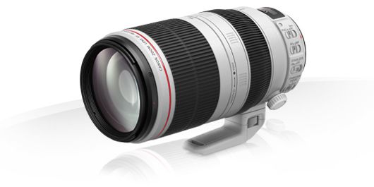 EF 100-400mm f4.5-5.6L IS II USM web imagery PACK[1]