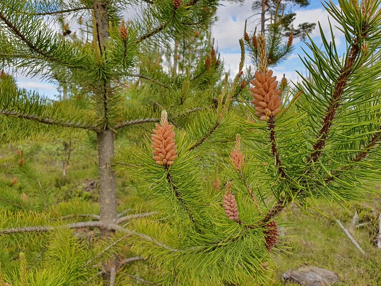 Biobase innehöll bland annat besök ute i skogen. 