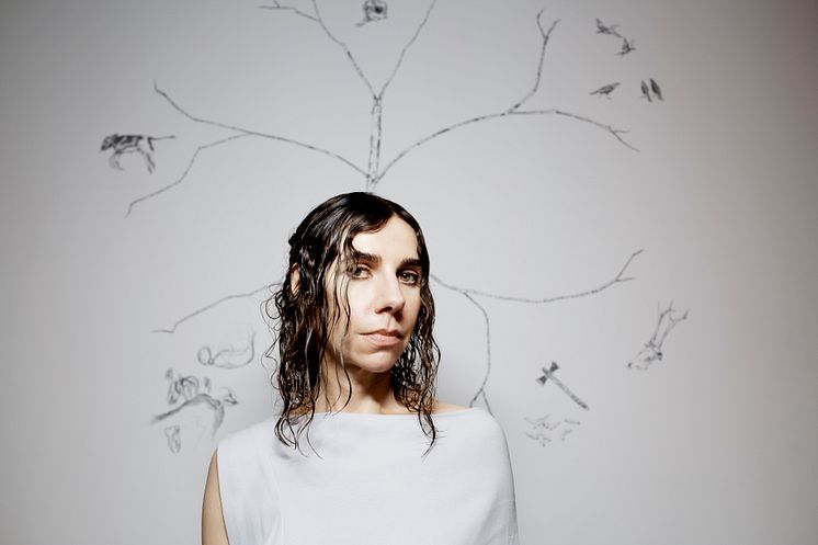 PJ Harvey 2, credit Steve Gullick