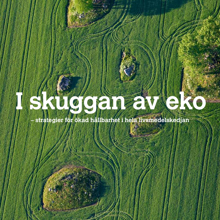 I skuggan av eko