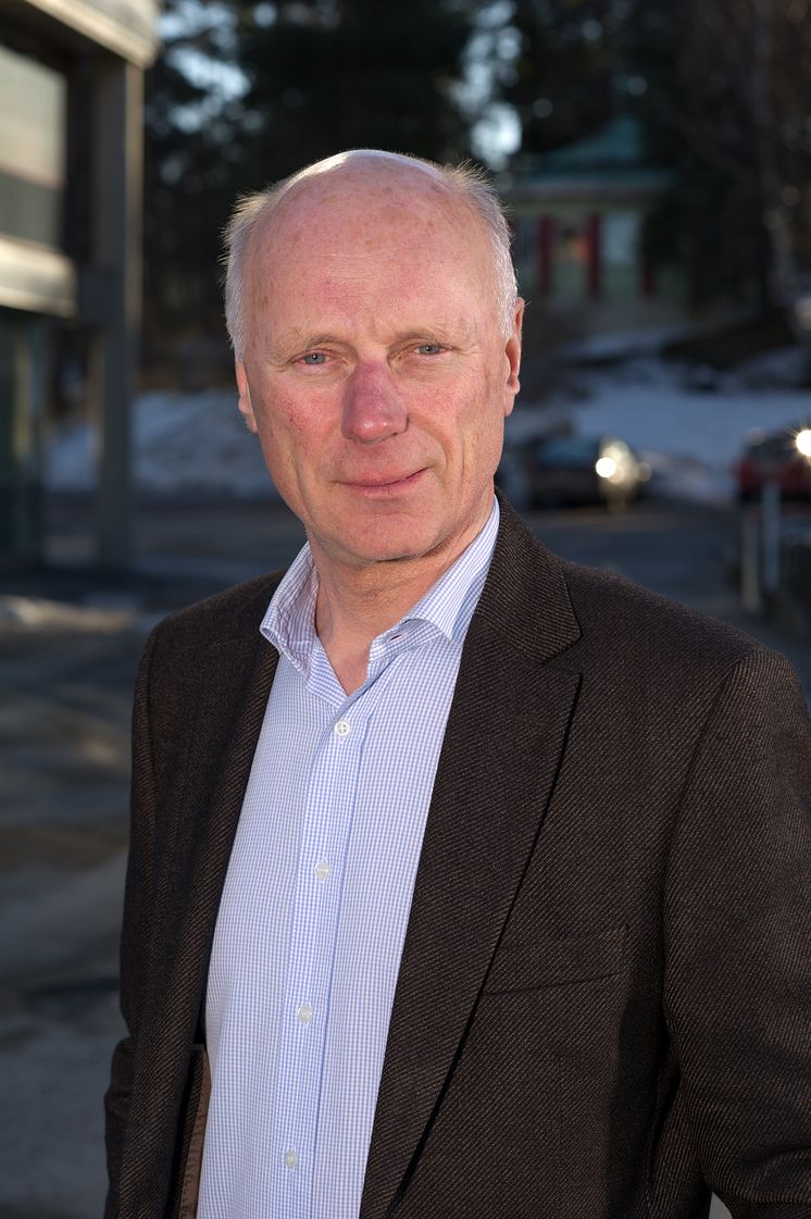 Stig H Johansson