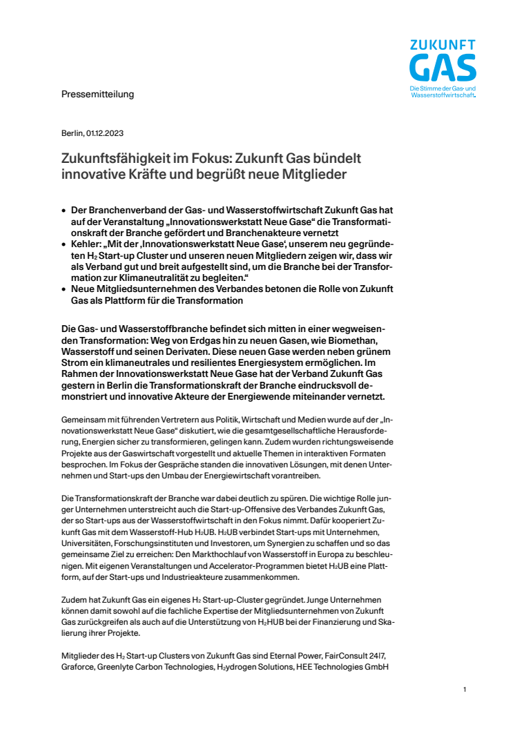 20231201_Innovationswerkstatt Neue Gase.pdf