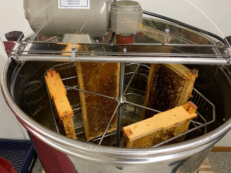 Botkyrkabyggens honung slungas i Storvreten