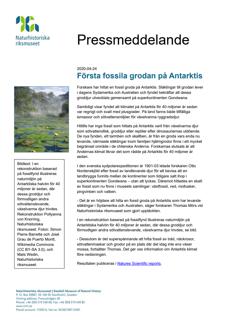 Första fossila grodan på Antarktis