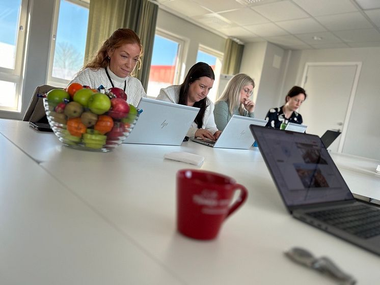 Gina Johannisson_Maria Ojesjo_Alexandra Knowles från Kungsbacka och Anna Lokrantz från AI Sweden.png