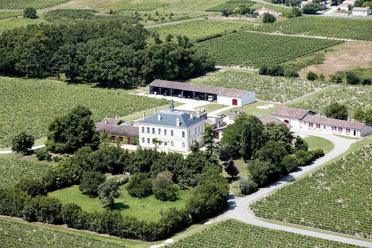 Château-Bois-Cardon-Domaine