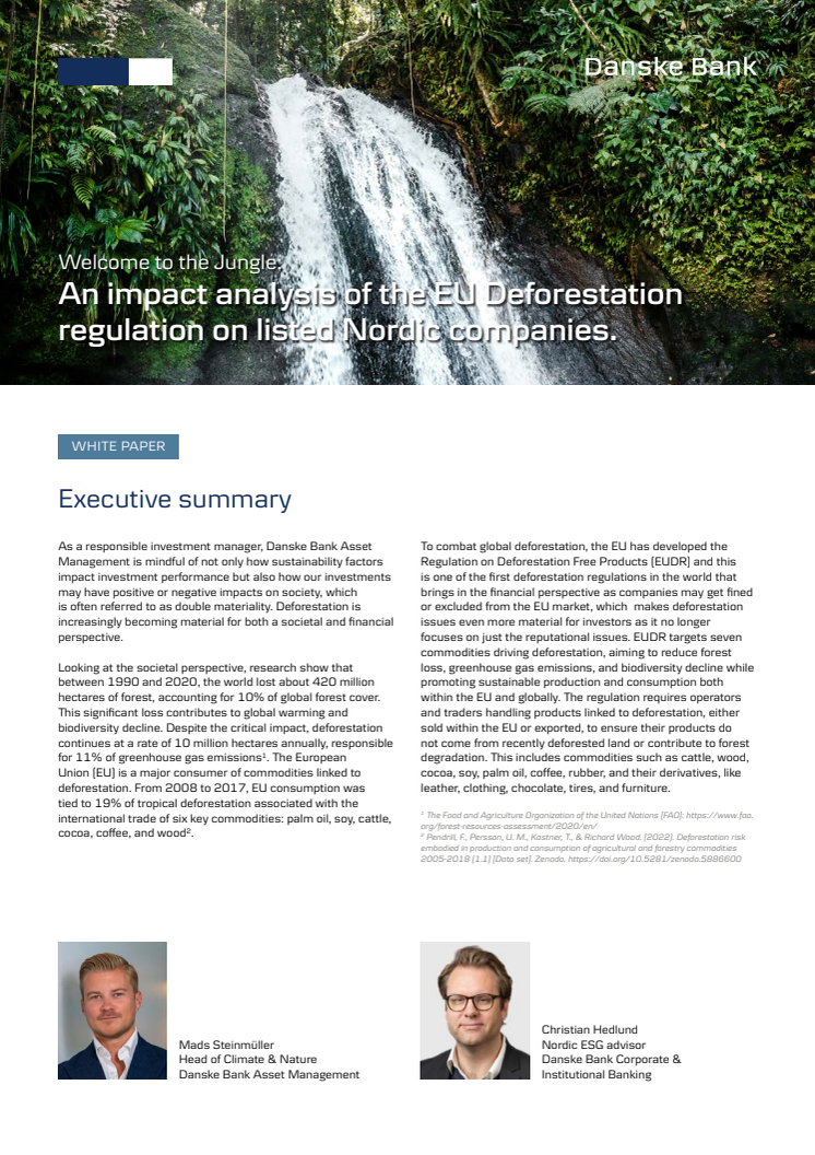 Welcome to the Jungle - White paper.pdf