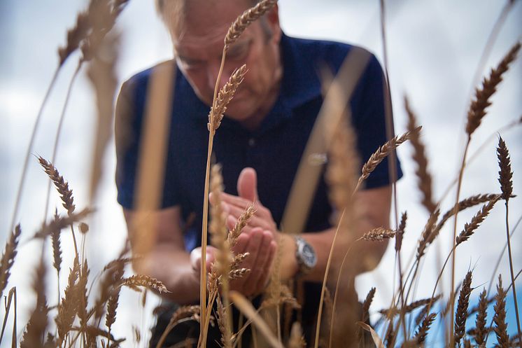 Nils Christerson, Bager's