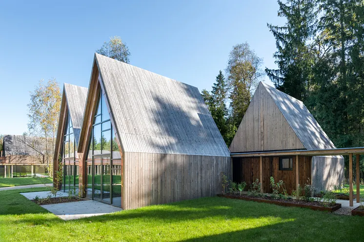 Bestehende Lichtungen, alter Baumbestand und die natürliche Topografie bestimmen die Architektur des SANCTUM Nature Therapy 