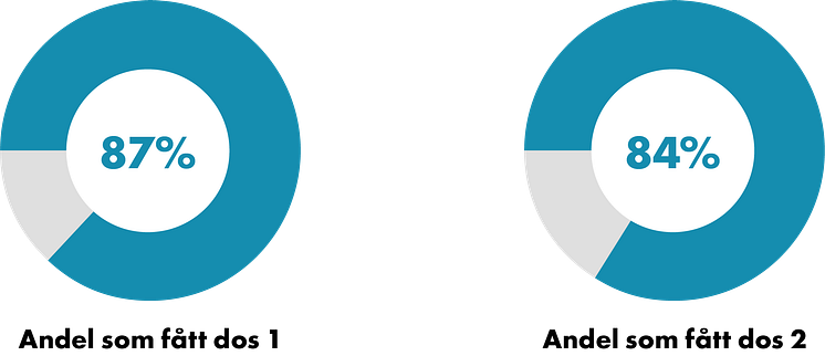 211105_Cirkel andel.png