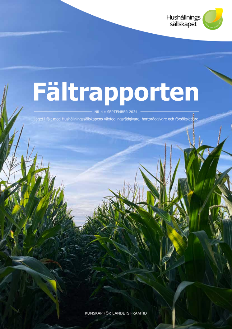 Fältrapporten_nr 4 2024.pdf