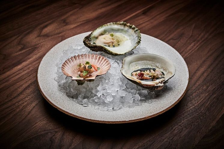 Razor clam, Black Currant Mahogany clam, Tomato Oyster, Menton Lemon and Sea Lettuce