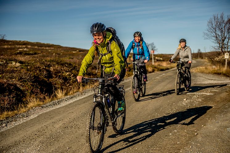 Cycling on Hardangervidda-Thomas Rasmus Skaug - VisitNorway.com (2).JPG