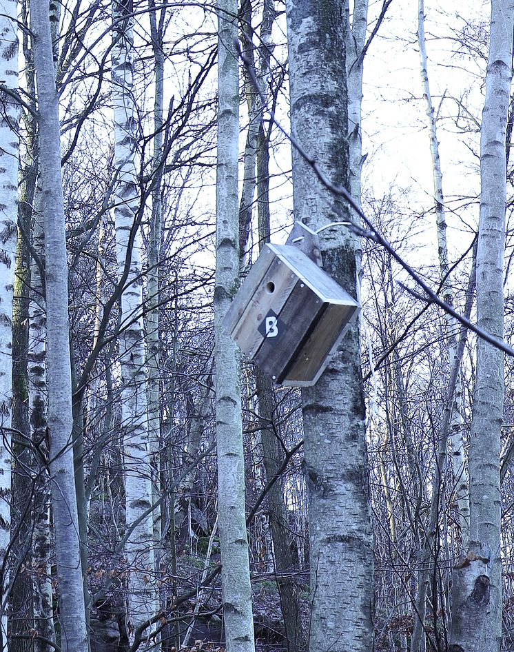 BirdEthical UF Fågelholk