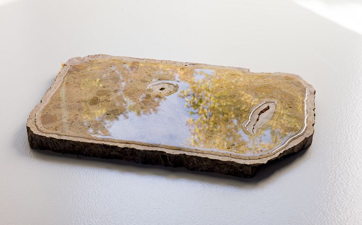 Nina Canell, Days of Inertia, 2023 