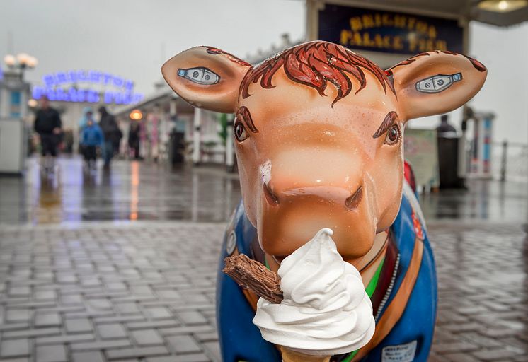 Cow-respondent travels on Thameslink