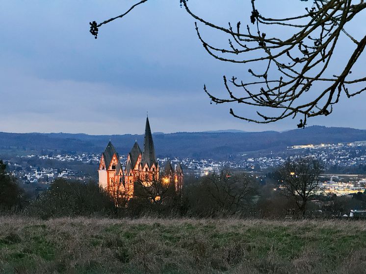 Limburg Cathedral 1.jpg