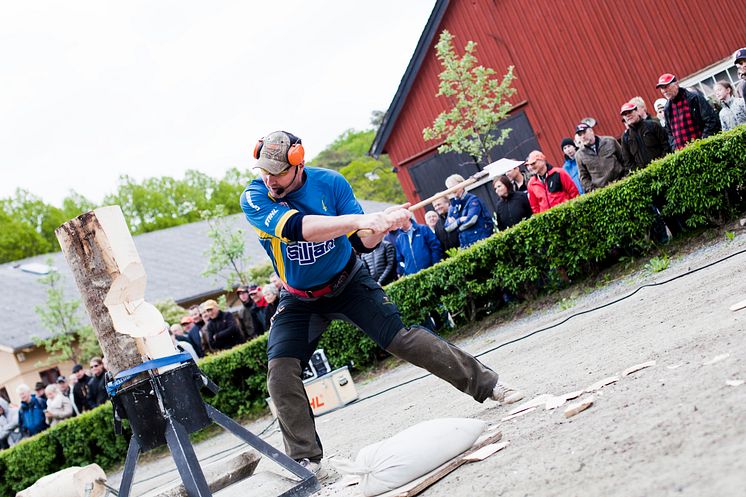 Timbersports