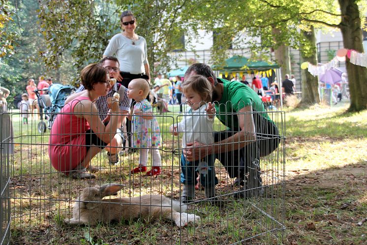 Tag der offenen Tür im Kinderhospiz: Bärenherz-Sommerfest lockt 1.000 Besucher in den Kees’schen Park