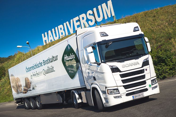 Scania R 500 für die Firma Haubis GmbH