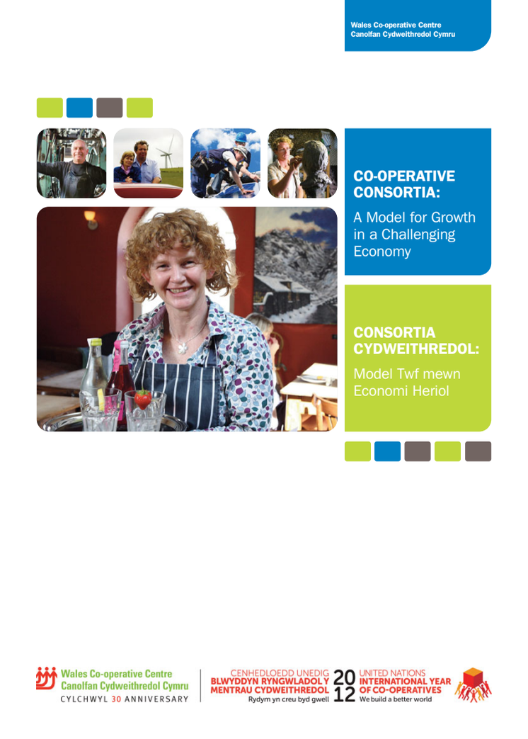 Co-operative Consortia Report (Cymraeg)