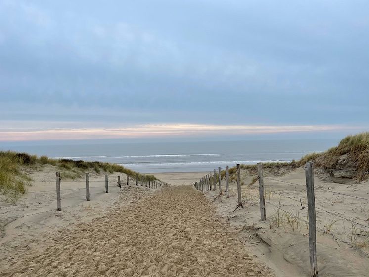 zandvoort-joop-laan-unsplash