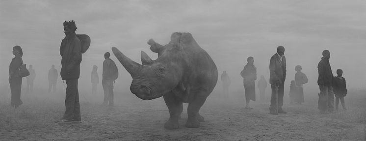 © Nick Brandt, Najin and people in fog - Kenya 2020 - Courtesy WILLAS contemporary