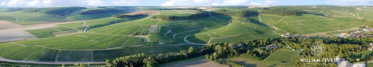 Pano Chablis Grands Crus rL