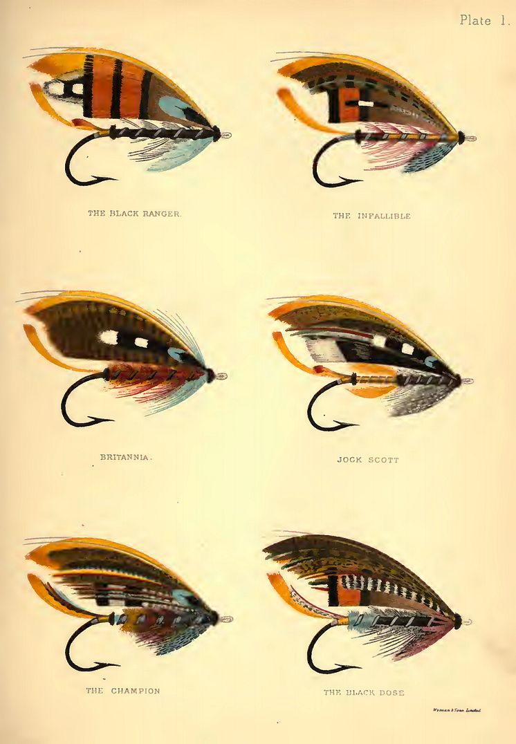 Sechs Lachsfliegen -Abbildungen aus "The Salmon Fly"