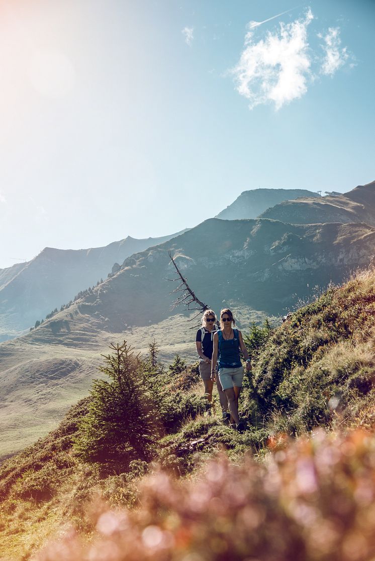 Wanderung im Val D'Illiez2 © Valais_Wallis Promotion - David Carlier