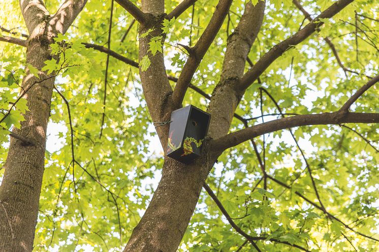 Denne fuglekassa finner du ved Grünerhagen Park