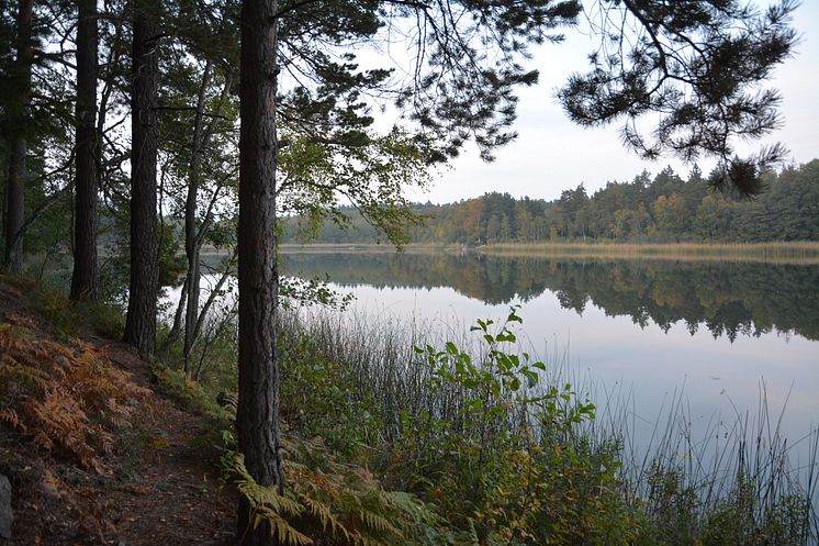 Vandringsled Rösjön