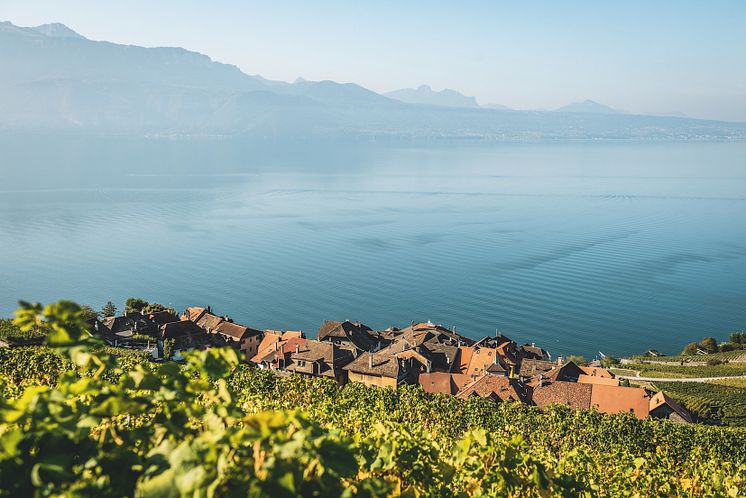 Das typische Weindorf St-Saphorin mitten im Lavaux mit dem Genfersee 