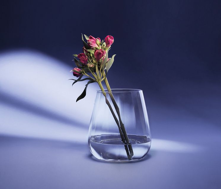 Brillant Lyslykt/Vase