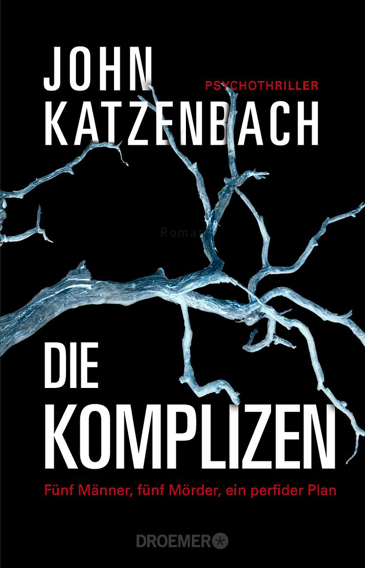 Katzenbach_DieKomplizen