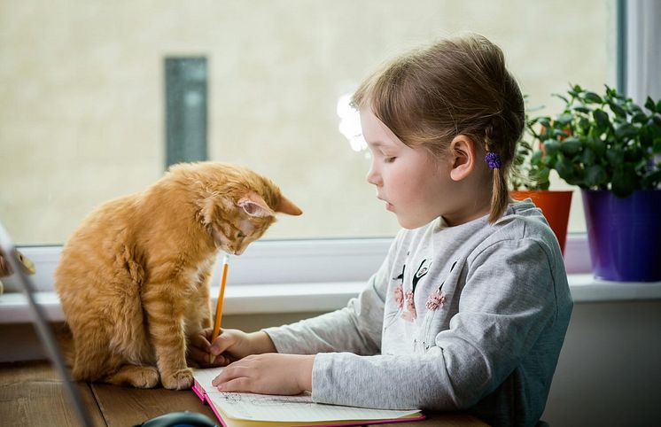 Cat and girl