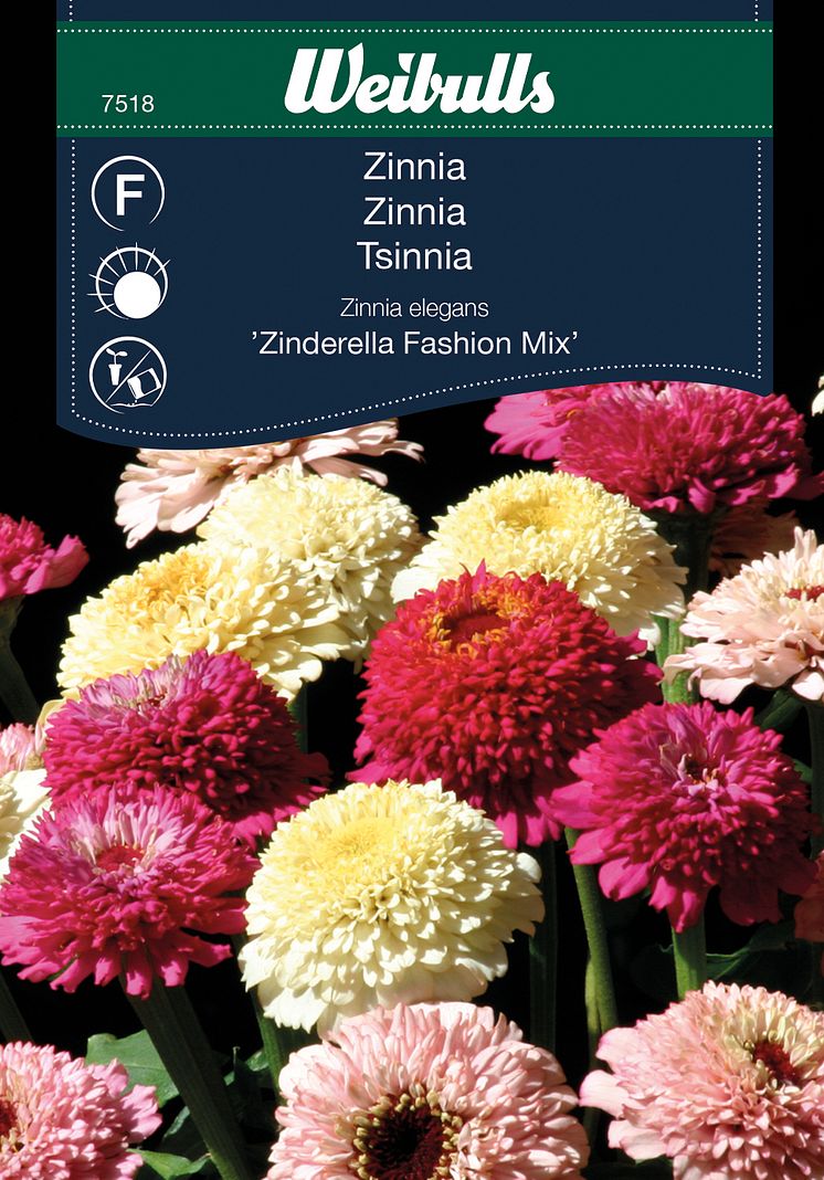 7518_zinnia